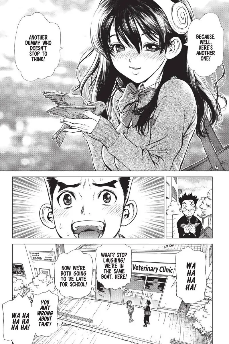 Chapter 1 image 24