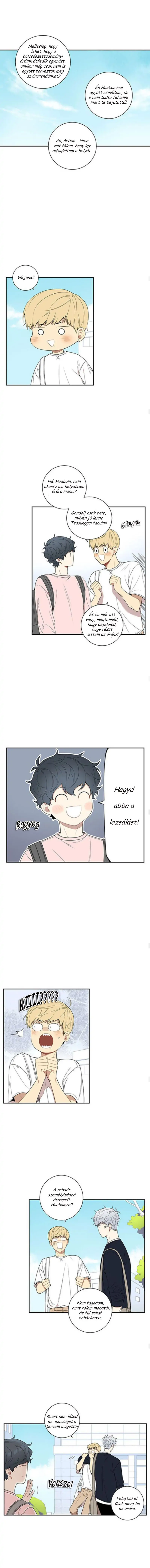 32160657 800 8331 200676